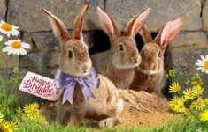 Free &amp; Premium Digital Happy Birthday Ecards | Blue Mountain inside Blue Mountain Printable Easter Cards