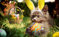 Hop This Town' Easter" | Ecard | Blue Mountain within Blue Mountain Printable Easter Cards